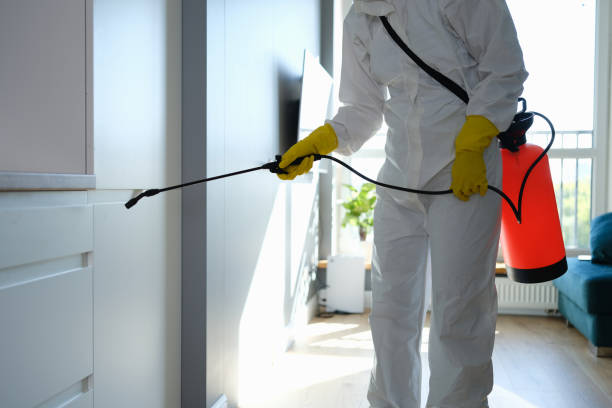 Best Mold Removal and Inspection  in Ocklawaha, FL